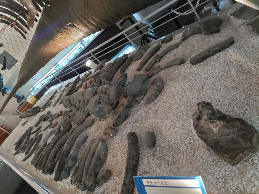 インタビュー 美術館・博物館から見る“空知” ～第4回 滝川市美術自然